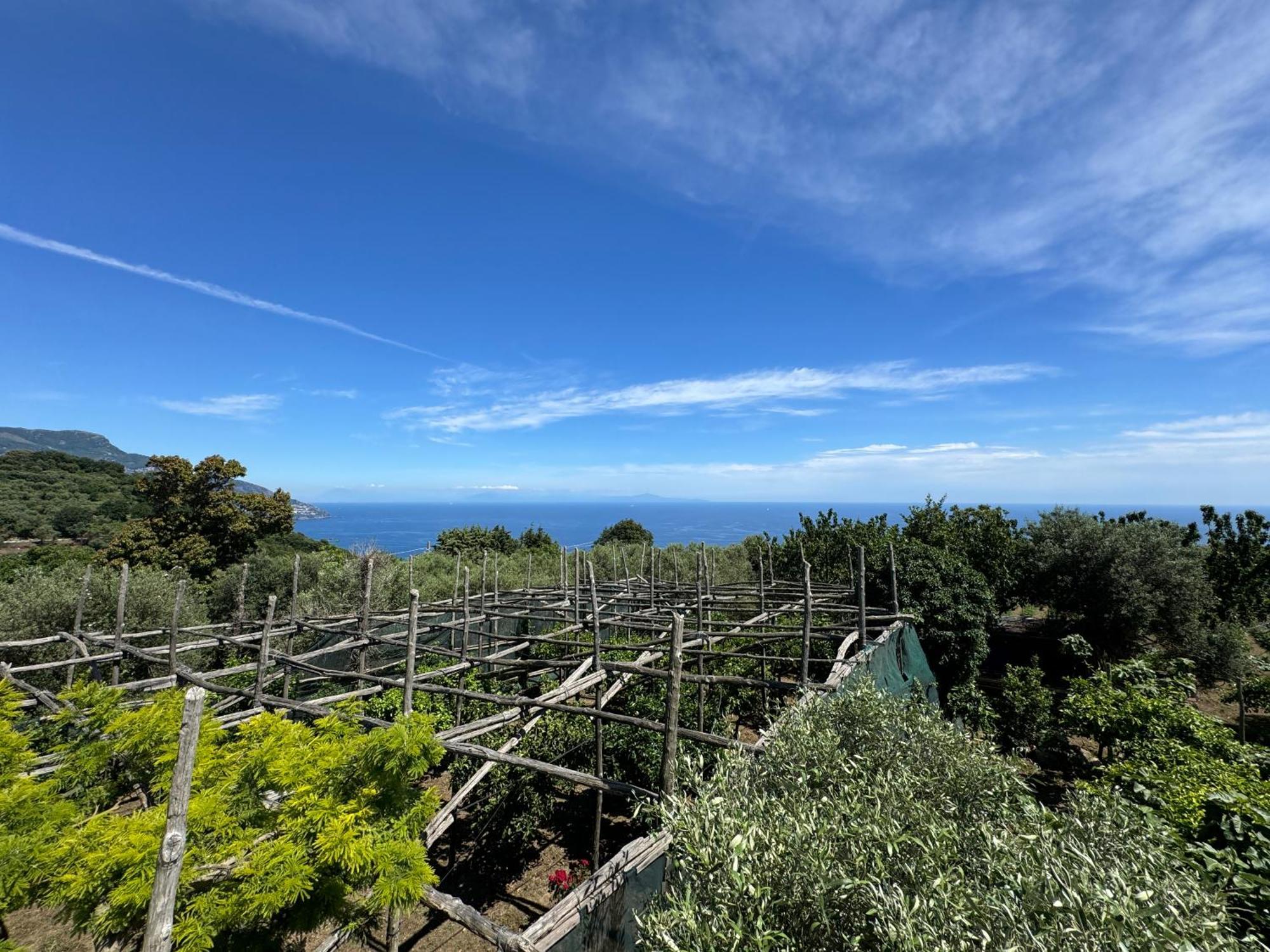 Agriturismo Piccolo Paradiso Piano di Sorrento Exterior photo