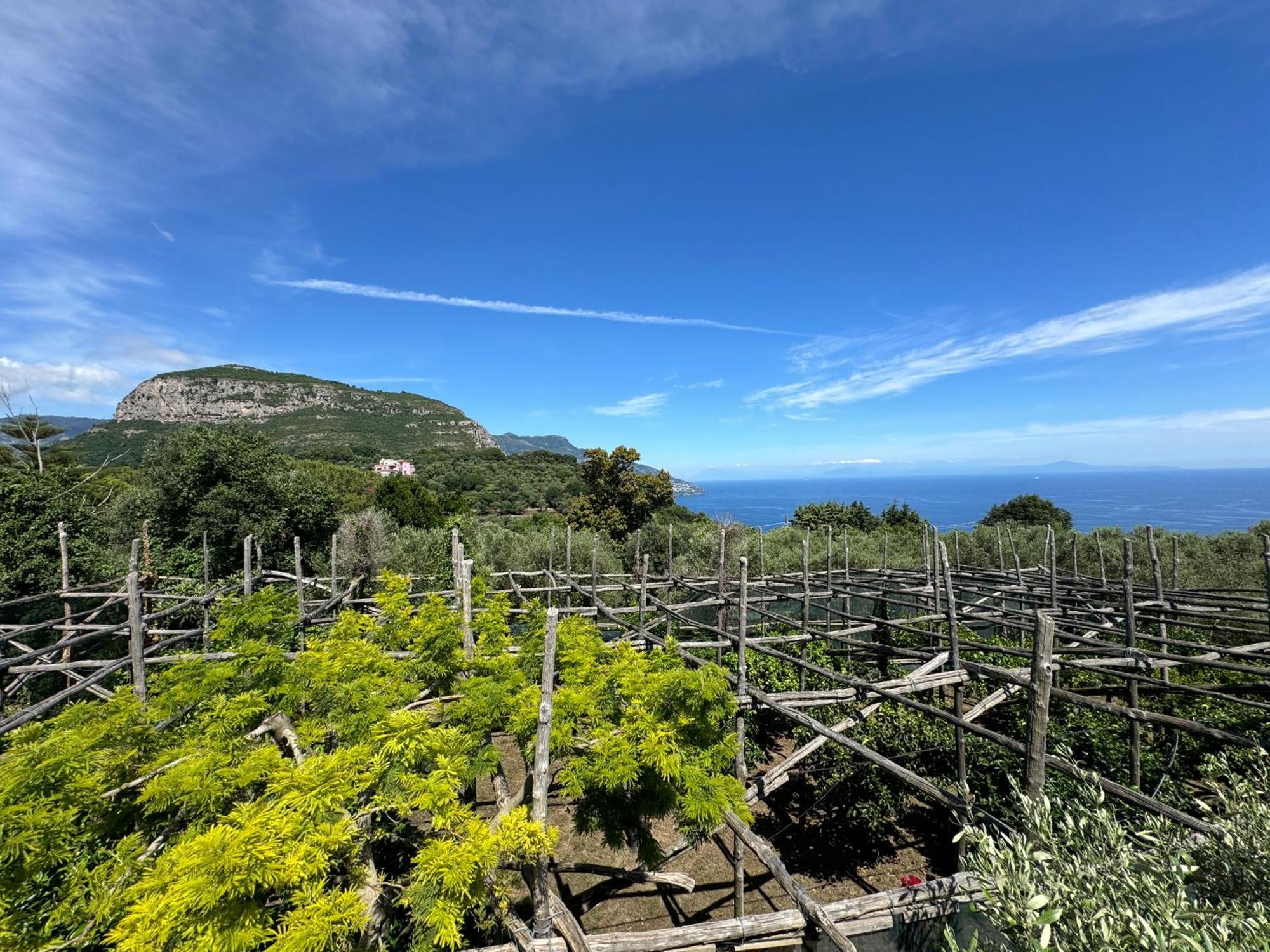 Agriturismo Piccolo Paradiso Piano di Sorrento Exterior photo