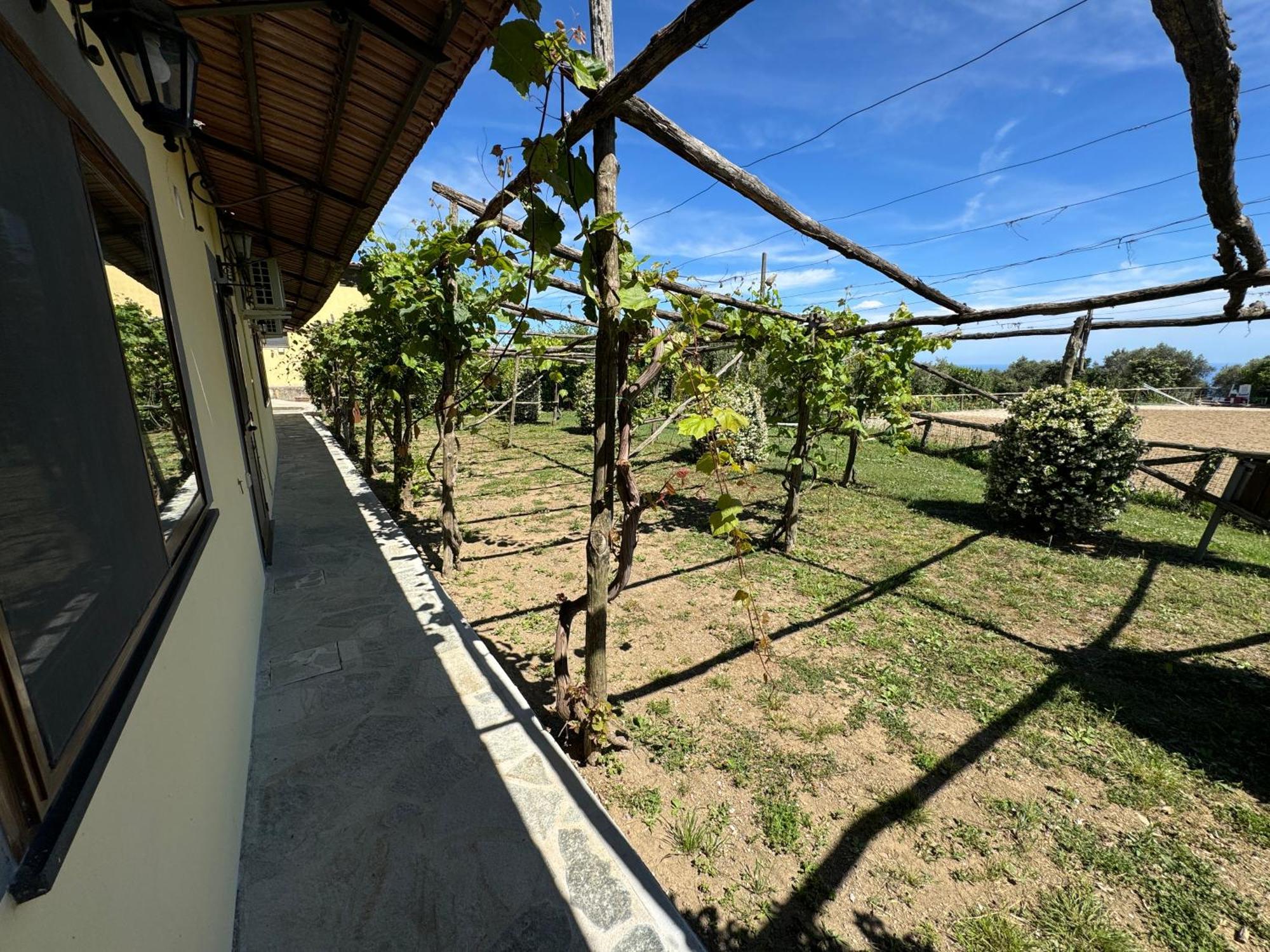 Agriturismo Piccolo Paradiso Piano di Sorrento Exterior photo