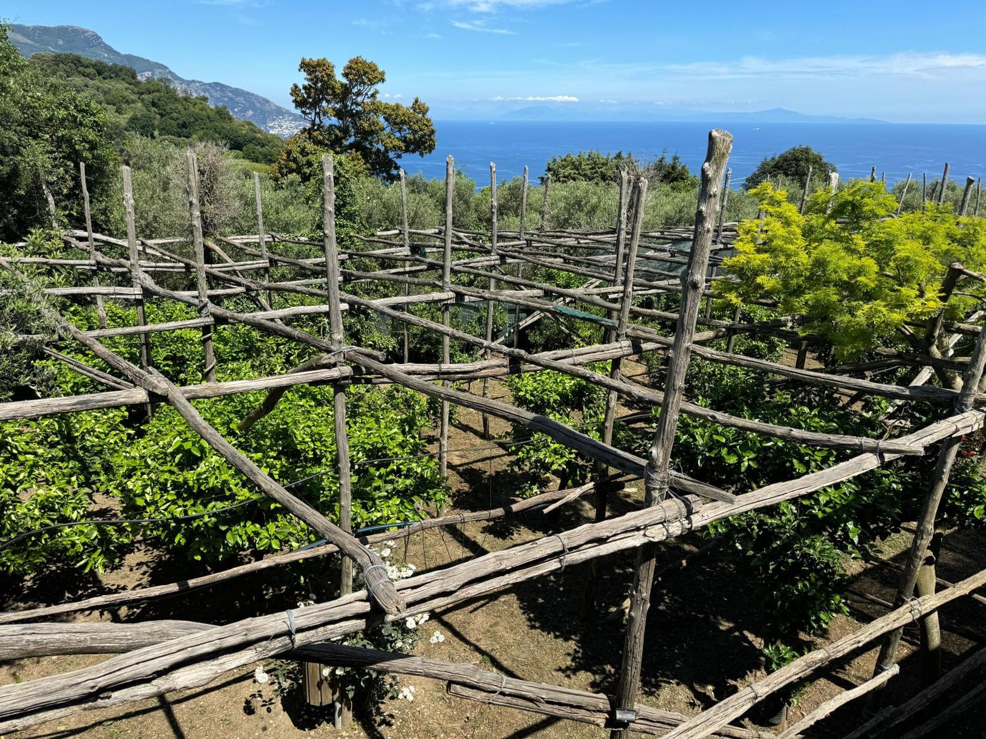 Agriturismo Piccolo Paradiso Piano di Sorrento Exterior photo
