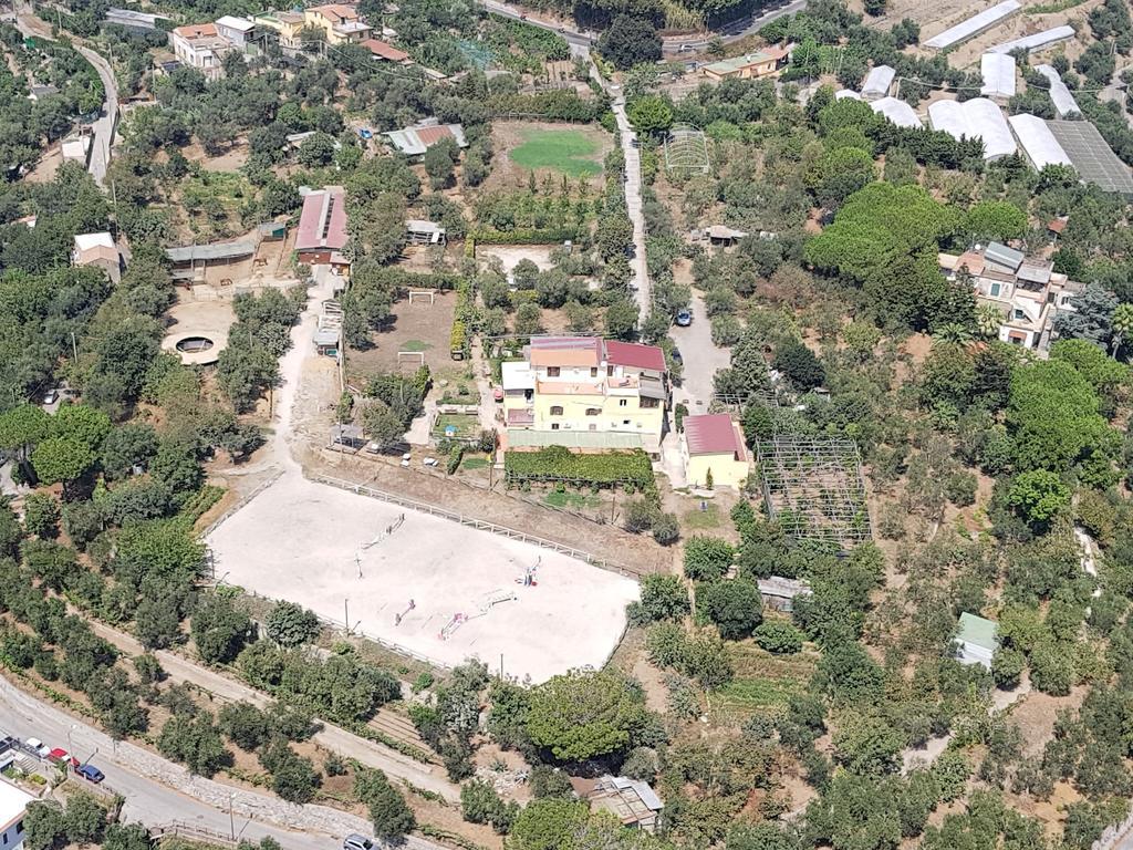Agriturismo Piccolo Paradiso Piano di Sorrento Exterior photo